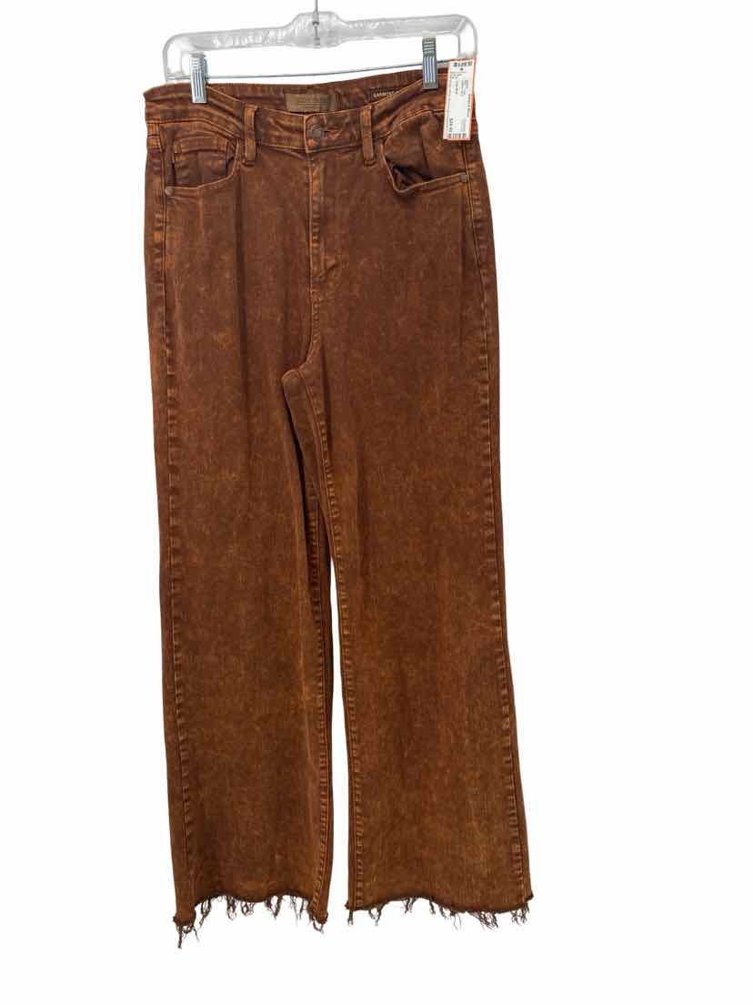 Judy Blue Ladies Size 11/30 Jeans
