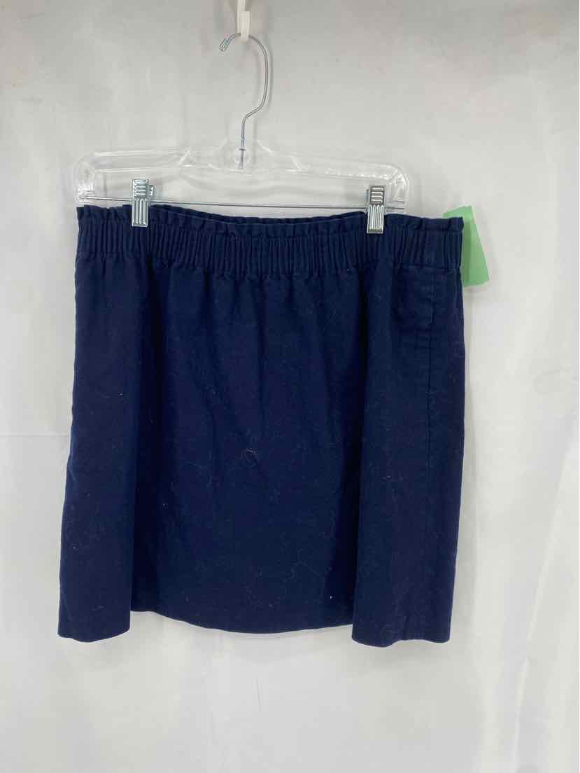 J Crew Ladies Size 12 Skirt