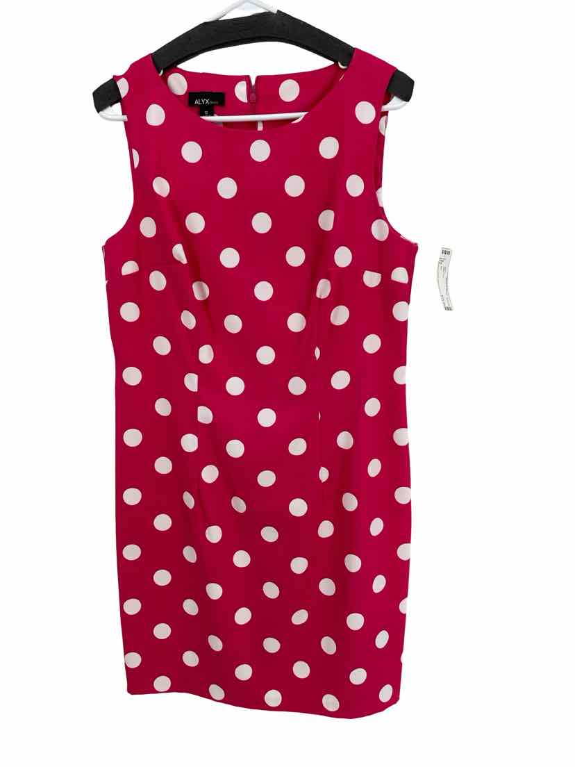 Alyx Ladies Size 12 Dress