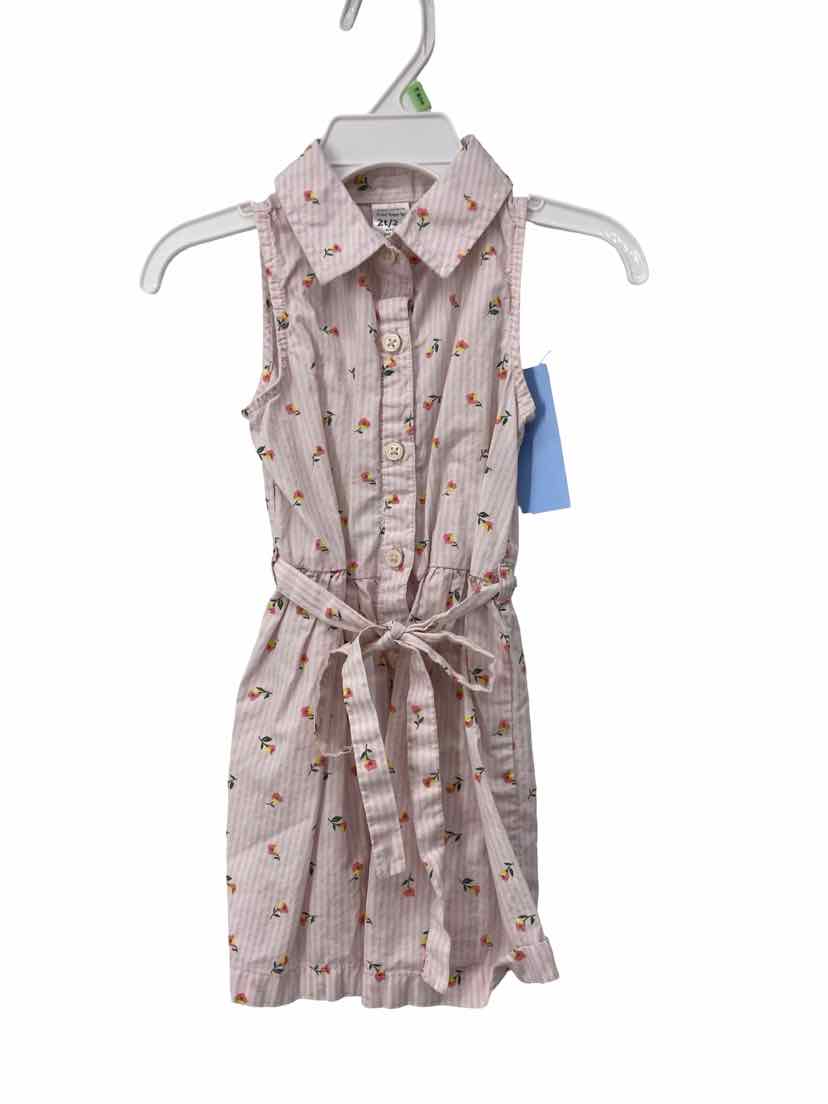 Carter's Kids Size 2T Dress