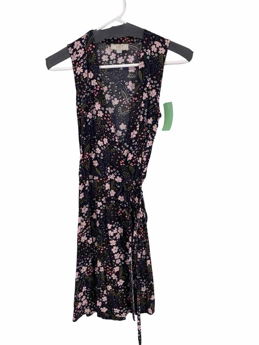 Loft Ladies Size xxsp Dress