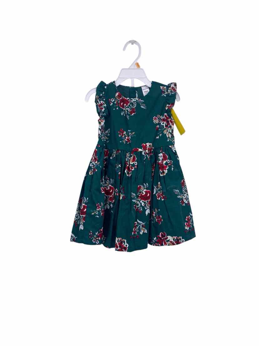 Carter's Kids Size 24m 2 pc Dress