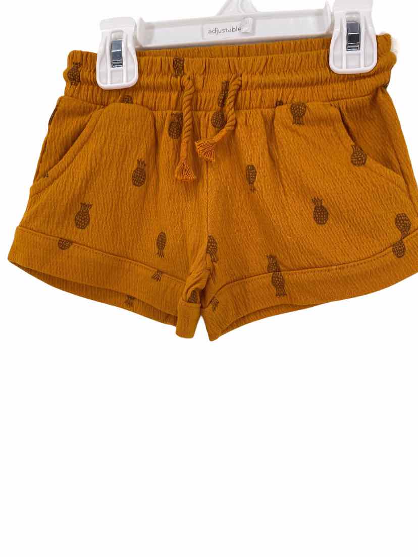 Carter's Kids Size 2T NEW Shorts
