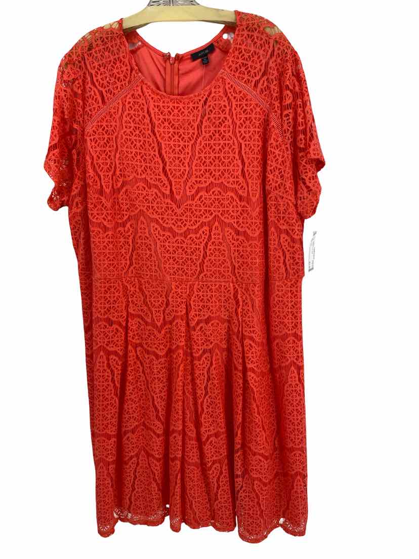 Apt 9 Ladies Size 3x NEW Dress